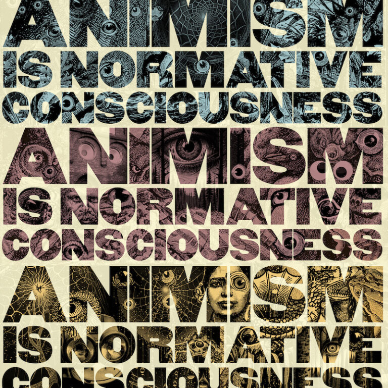 Animism is Normative Consciousness Re-released-cover art